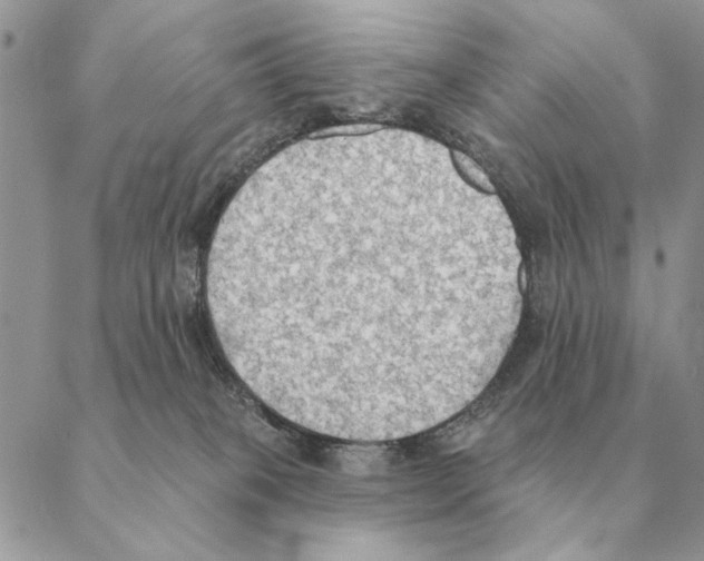 X0000088220085200706121841