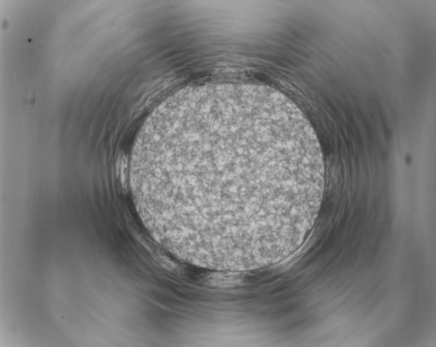 X0000088220094200706121841