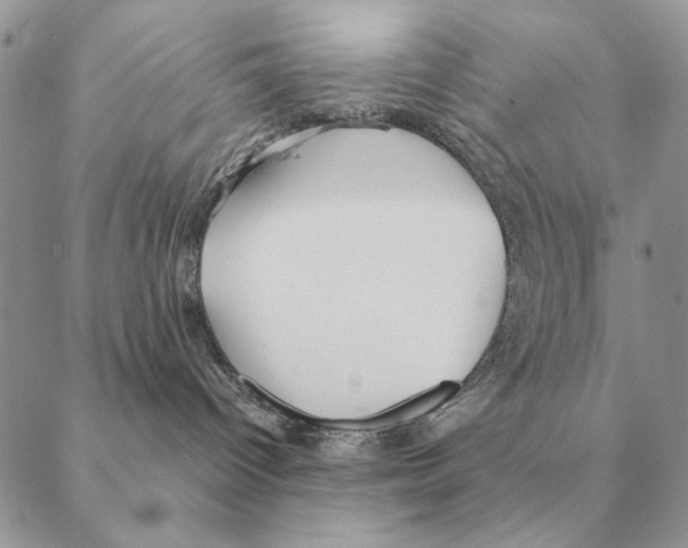 X0000088220096200706121841