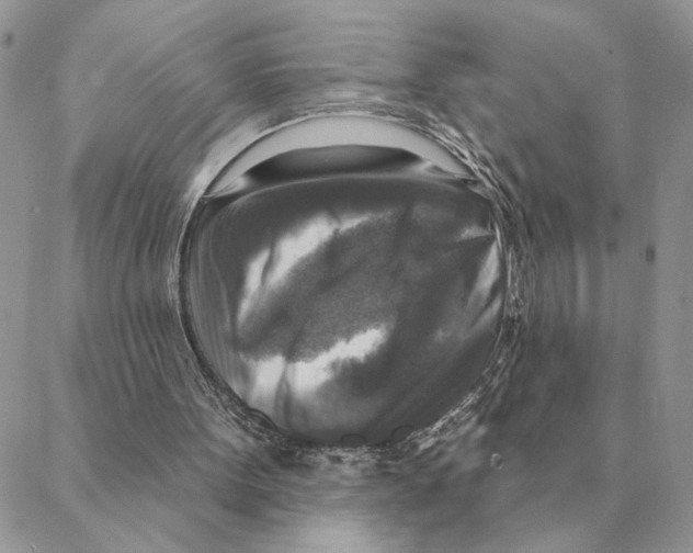 X0000088220099200706121840
