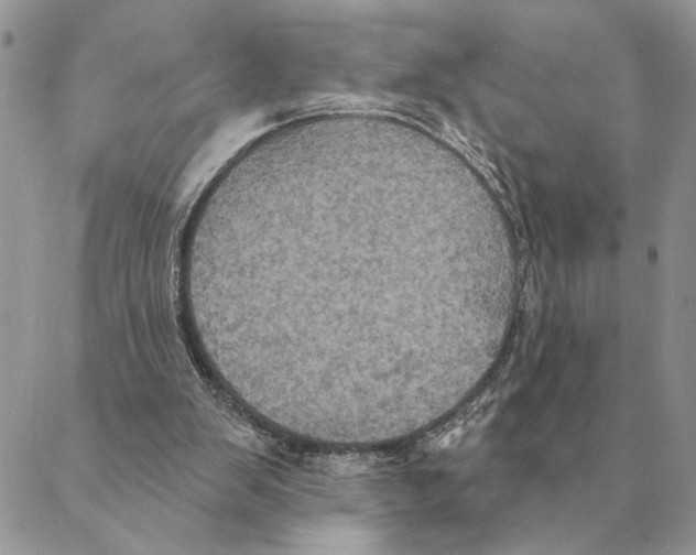 X0000088220103200706121840