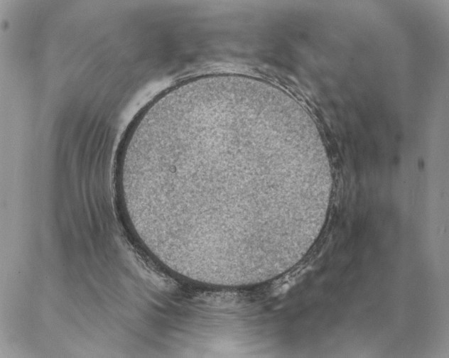 X0000088220104200706121840
