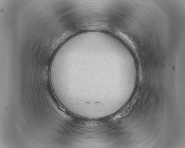 X0000088220105200706121840