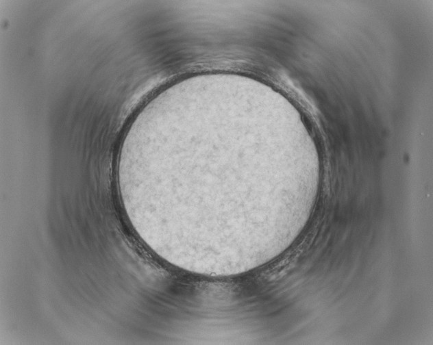 X0000088220107200706121840