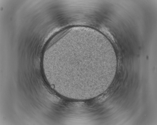 X0000088220108200706121840