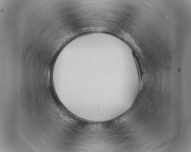 X0000088220110200706121840