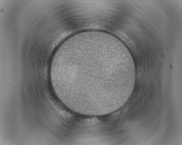 X0000088220112200706121840
