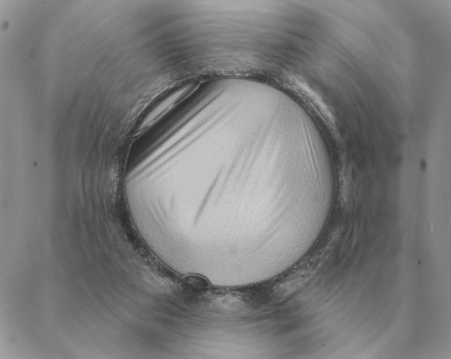 X0000088220113200706121840