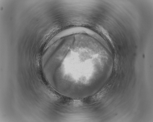 X0000088220114200706121840