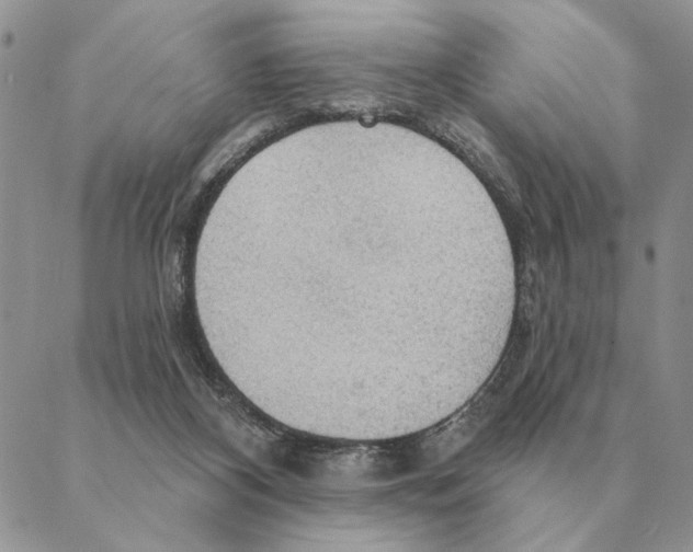 X0000088220116200706121840