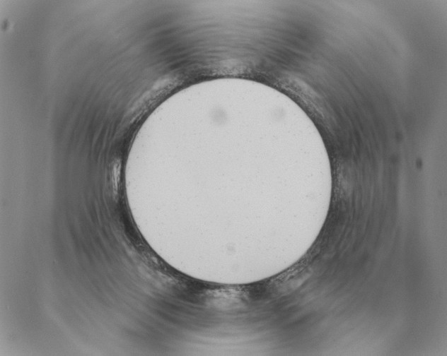 X0000088220118200706121840