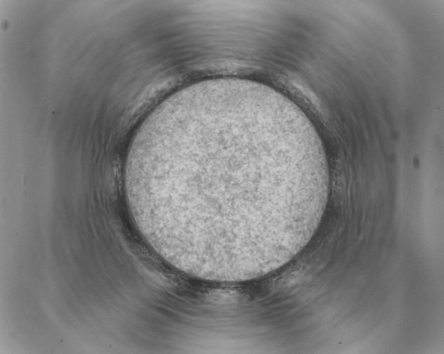 X0000088220119200706121840
