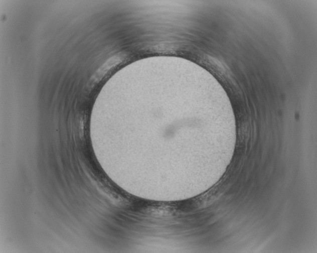 X0000088220120200706121840