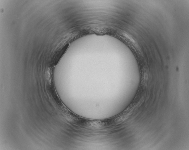 X0000088220121200706121840