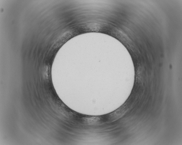 X0000088220122200706121840