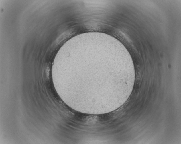 X0000088220124200706121840