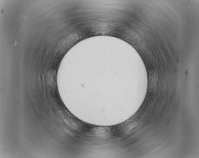 X0000088220126200706121840