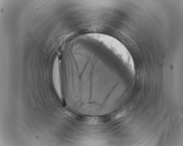 X0000088220127200706121840