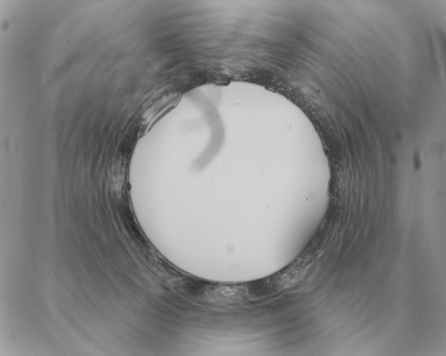 X0000088220129200706121840