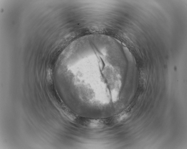 X0000088220130200706121840
