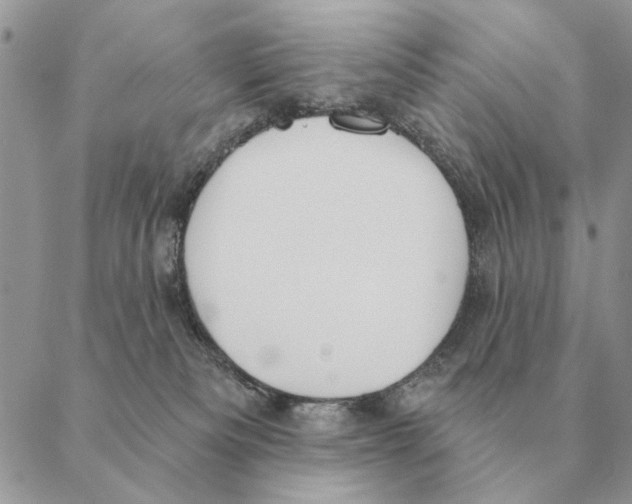 X0000088220133200706121840