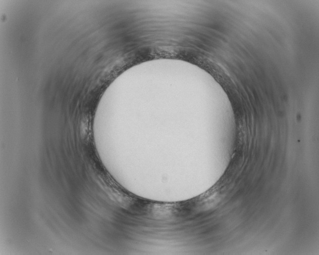 X0000088220134200706121840