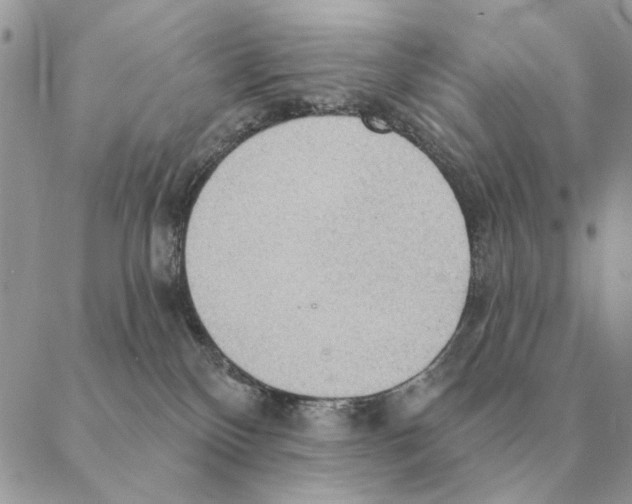 X0000088220136200706121840