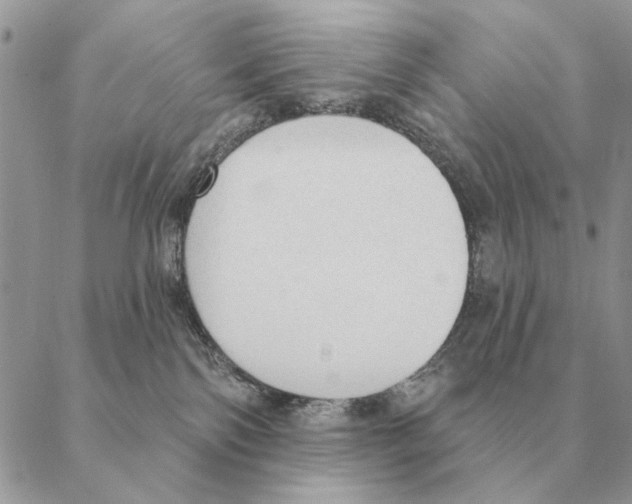 X0000088220138200706121840