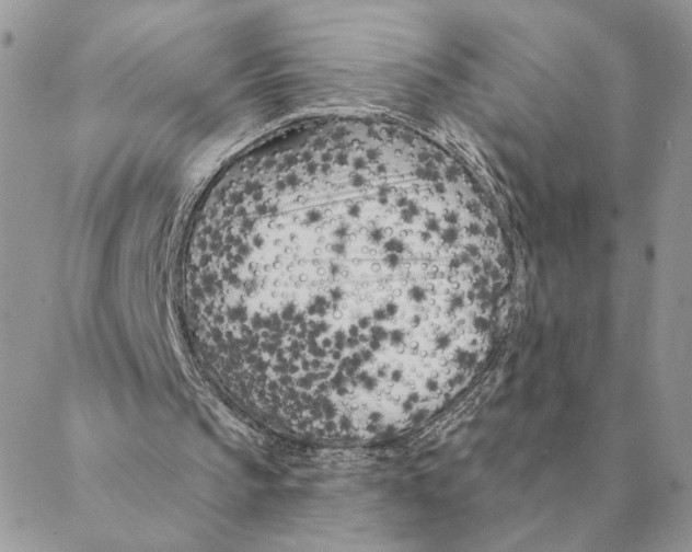 X0000088220145200706121839