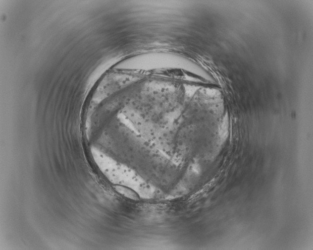 X0000088220147200706121839
