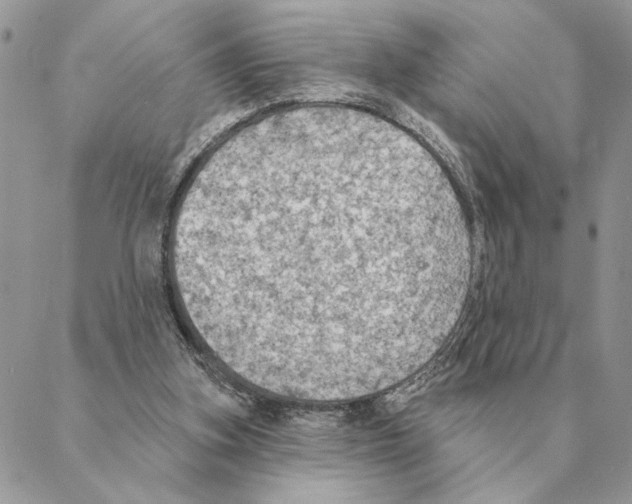 X0000088220155200706121839
