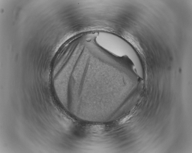X0000088220156200706121839