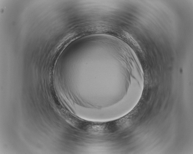 X0000088220163200706121839