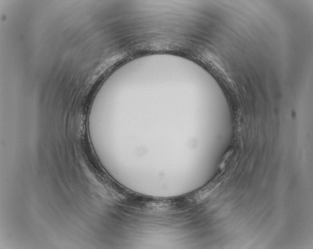X0000088220164200706121839