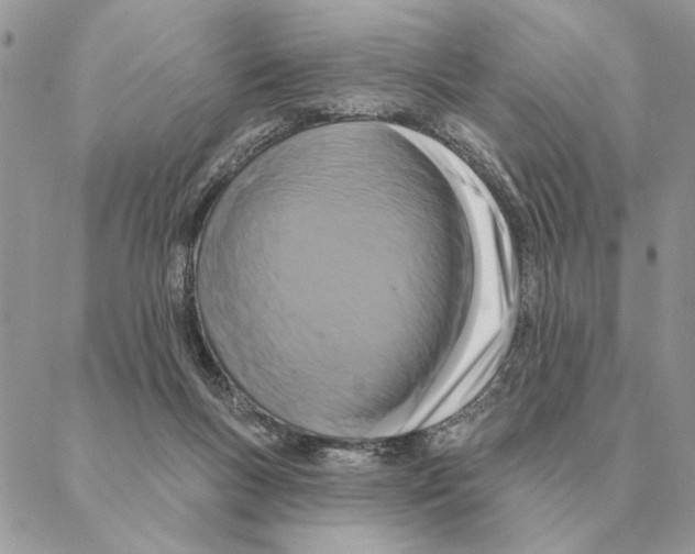 X0000088220167200706121839