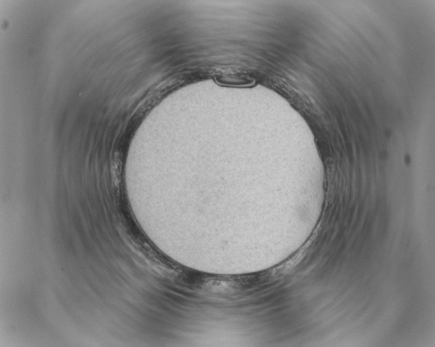 X0000088220174200706121839
