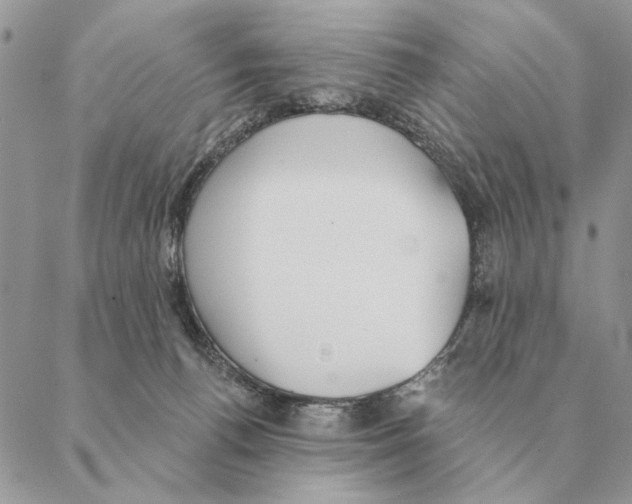 X0000088220176200706121839