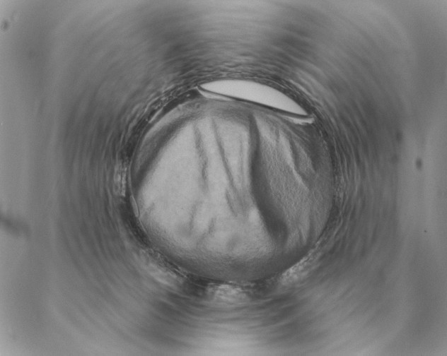 X0000088220180200706121839