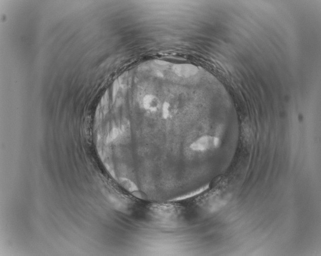 X0000088220181200706121839