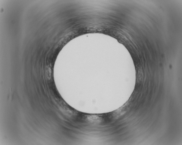 X0000088220183200706121839