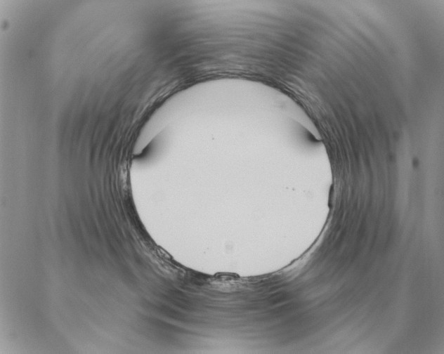 X0000088220190200706121840