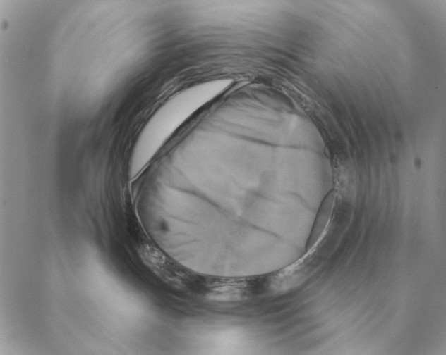 X0000088220191200706121840