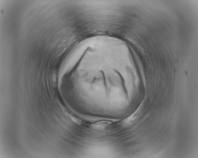 X0000088220192200706121840