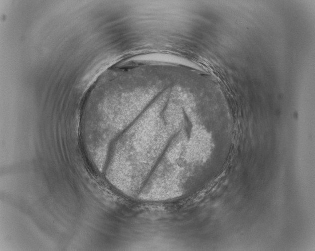 X0000088220194200706121839