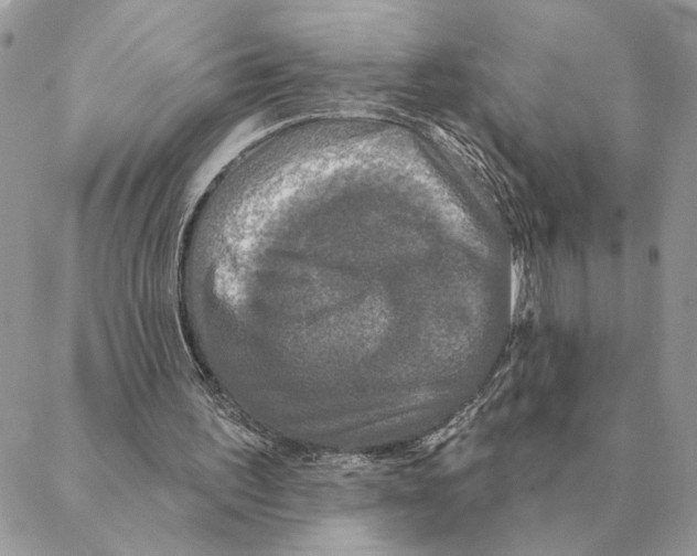 X0000088220195200706121839