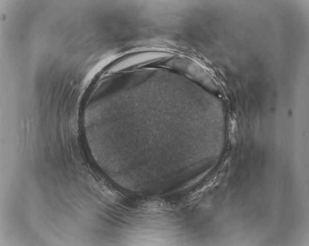 X0000088220200200706121839