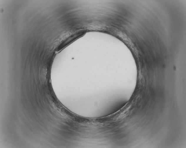 X0000088220201200706121839