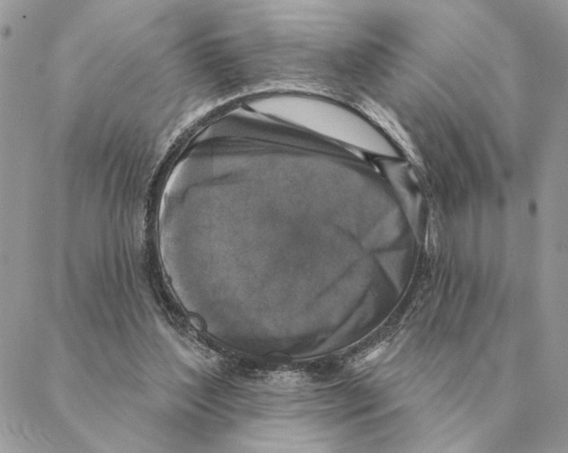 X0000088220204200706121839