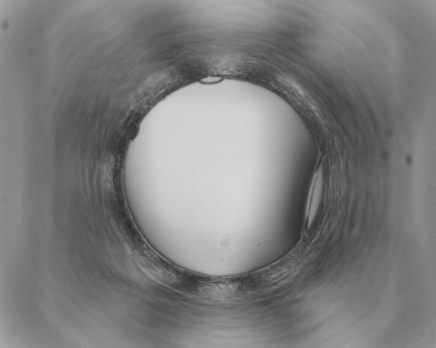 X0000088220217200706121838