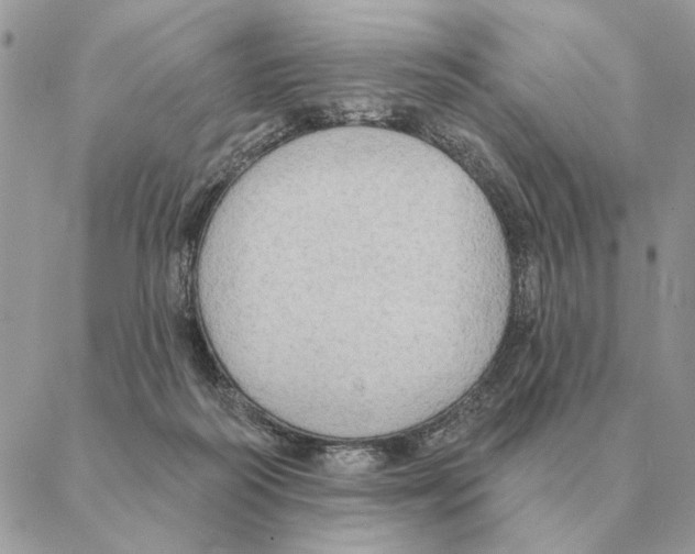 X0000088220218200706121838